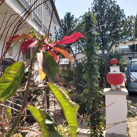 La Perla Della Conca D'oro Feriehus Palermo
